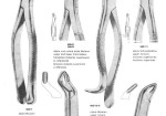 Extracting Forceps 