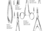 Root Splinter Forceps (Dental instruments)