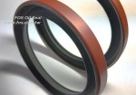 FOS Oil Seal Ptfe lip seals and OD with Boretite