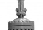 Flange ends gate valve