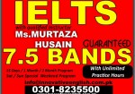 IELTS (International English Language Test System)