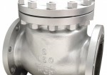 Cast steel swing check valve