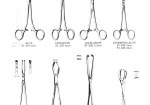 INTESTINES AND STOMACH. (Surgical instruments)