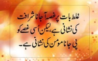 Writer