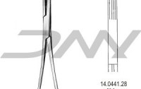 DENTAL  MEDICAL  INTERNATIONAL