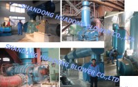 Roots Blower, steam compressor, MCT blower, Biogas blower, Aeration blower, vacuum pump