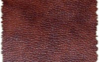 BLW Leatherette Co., Ltd.