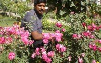 AL MADINA HOTEL RAJANPUR 