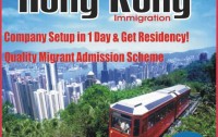 Immigration Consultant