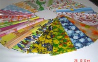 FULIN PLASTIC INDUSTRY JOINT STOCK COMPANY