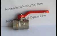 Factory for Brass Ball Valve,Brass Bibcock,Brass Angle Valve,Brass Fittings,Brass Check Valve,Brass Gate Valve and so on