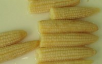 Zhangzhou Leading Foods Co.,Ltd