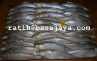 CV. Baruna Samudera Jaya