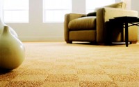 THE HOUSE OF CARPETS