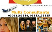 Multi Consultants