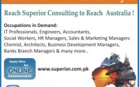 Immigration Consultant