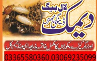 AGHAZ MILL STORE COMPANY