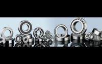 Saboor Bearing 