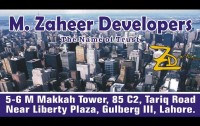 M ZAHEER DEVELOPERS