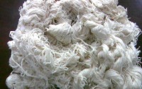 Exporter of Cotton Waste