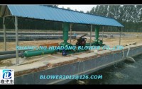 Roots Blower, steam compressor, MCT blower, Biogas blower, Aeration blower, vacuum pump