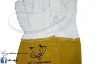 ALIF INTERNATIONAL