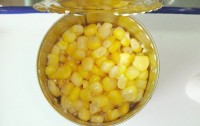 Zhangzhou Leading Foods Co.,Ltd