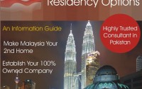 Immigration Consultant