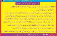 Bait ul Mamoor Overseas Employment 