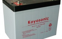 Koyosonic Electronics Co., Ltd. 