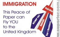 Immigration Consultant