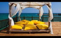 Palmiye Kocak Furniture