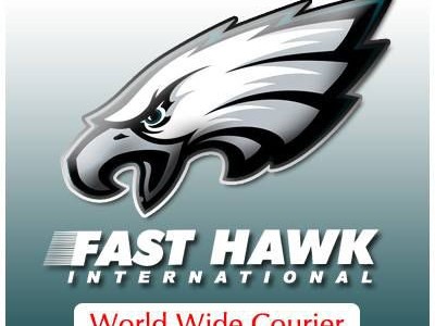 FAST HAWK WORLD WIDE COURIER & LOGISTICS - photo 1