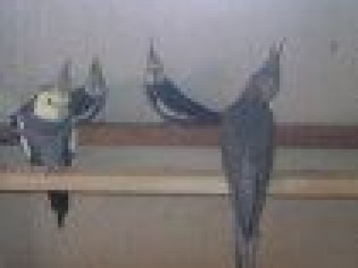 Mustaqeem Traders - Your One-Stop Shop for Quality Industrial Products - photo 9