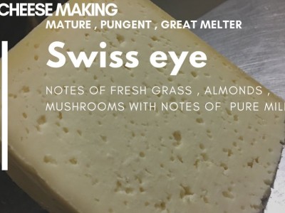 Farmer cheese Making |  03214078339 - photo 1
