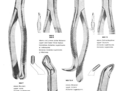 Extracting Forceps "American". (Dental instruments)