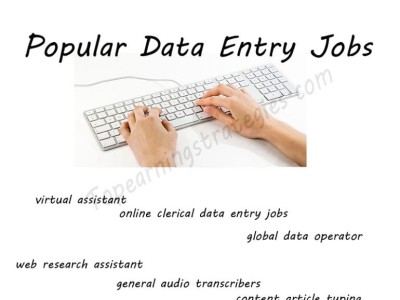 Data Entry Job - photo 8