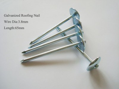 roofing nail,concrete nail,common nail,galvanized iron wire,black annealed iron wire,welded wire mesh,hexagonal wire mesh,iron wire,fence,nets,window screen