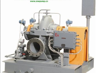 APS type petrochemical pump