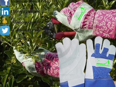 Alif-78607 Garden Gloves