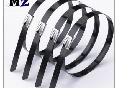PVC Coated Stainless Steel Cable Tie