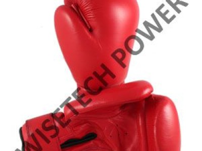 Manufacturer & Supplier of Mixed Martial Art (MMA) products & Sportswear - photo 1
