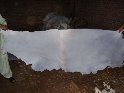 Leather Cotex - photo 2