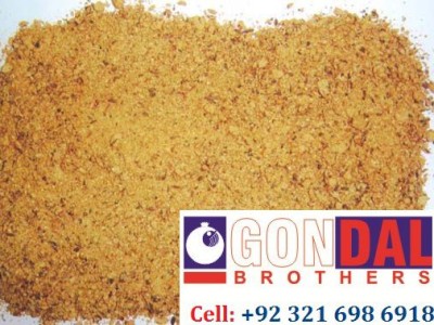 GONDAL BROTHERS - photo 9