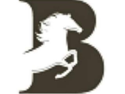 Equestrian Equipments - photo 5