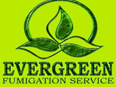 Evergreen Fumigation Service - photo 5