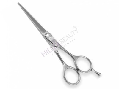 Professional Hairdressing Scissors