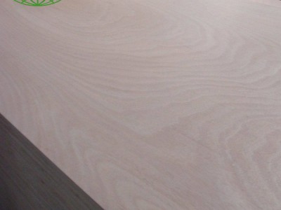 Linyi Greentrend Wood Co., LTD |  www.greentrend.cn - photo 5