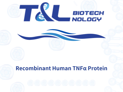 +86 400-010-5556 | T&L Biotechnology - photo 3