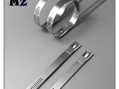 Wuhan MZ Electronic Co.,Ltd | 008613247193001 - photo 2